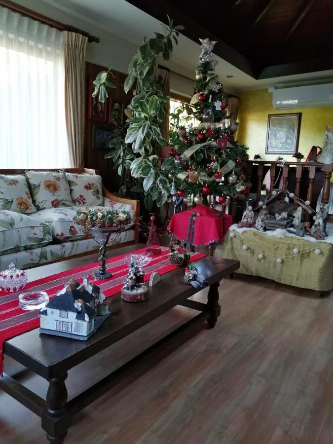 Posada Selva Negra Temuco Buitenkant foto